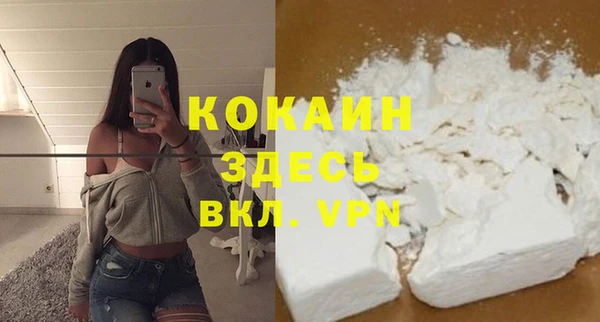 сатива Белокуриха