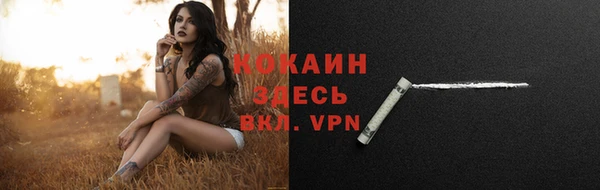 сатива Белокуриха