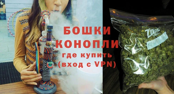 сатива Белокуриха