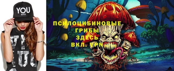 сатива Белокуриха