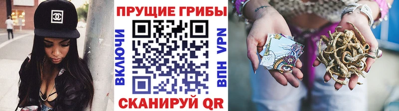Галлюциногенные грибы мицелий Волгореченск